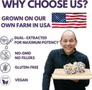 Elixir Melena de León • El Hongo de la inteligencia • Estimula la conexión neuronal y la claridad mental • Activa la energía cerebral mejorando la concentración y la lucidez mental • Reduce drásticamente el TDH y el Alzheimer• Ahora con Ashwagandha