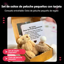 💖¡Solo 69.90! ¡Último día de promoción!⏰ 🎁Osito de peluche mini hecho a mano en caja