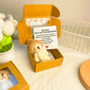 💖¡Solo 69.90! ¡Último día de promoción!⏰ 🎁Osito de peluche mini hecho a mano en caja