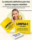 SISTEMA DE LIMPIEZA PROFUNDA EN PARCHES