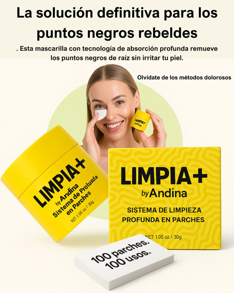 SISTEMA DE LIMPIEZA PROFUNDA EN PARCHES